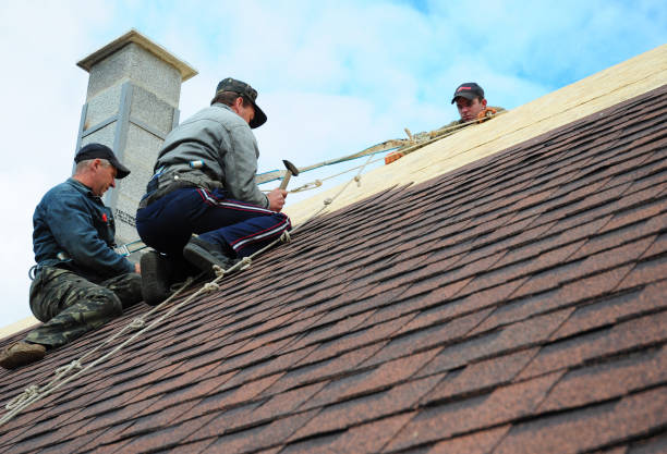 Professional Roofing Contractor in Sturgis, MI